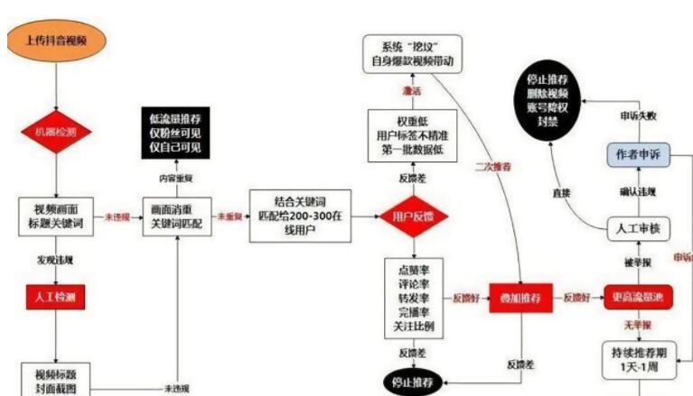 新手轻松快速掌握抖音推荐算法核心技巧-第2张图片-小七抖音培训